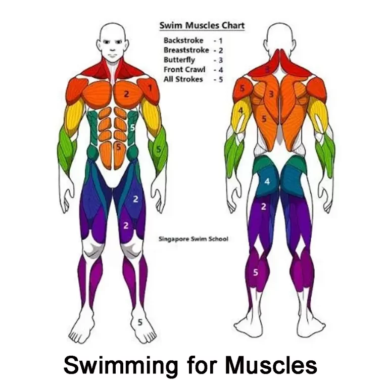 Backstroke Benefits for Spine Health