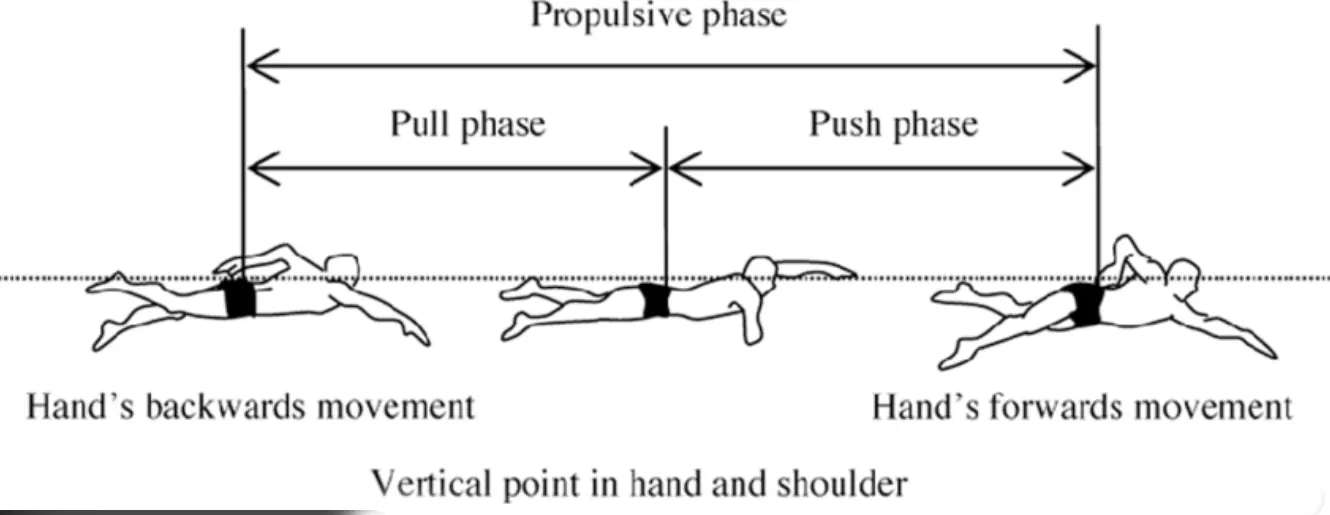 Pull Push of a front crawl