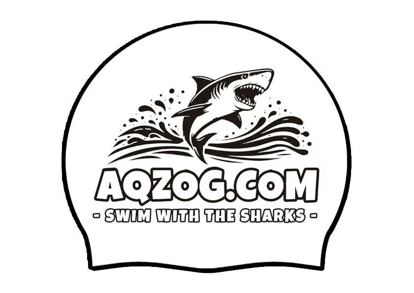 4 Colored Cap Animation for AQZOG 1